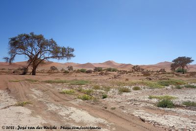 Sandy road to the Sossusvlei