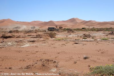 Desert Crossing