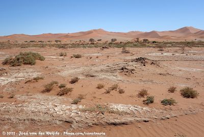 The Namib Desert