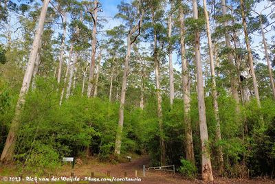WA - Stirling & Porongurup Ranges to Cheynes Beach