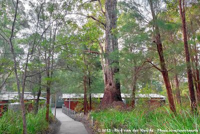 The Sceneries of Australia