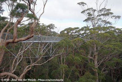 Australia (Southwest), July 12 - August 13, 2023