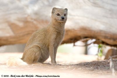 Namibia, March 31 - May 4, 2022