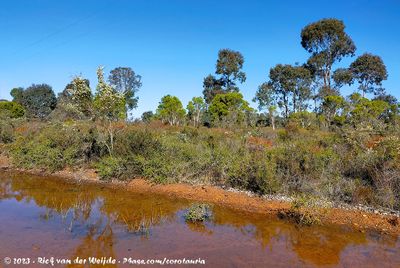 The Sceneries of Australia