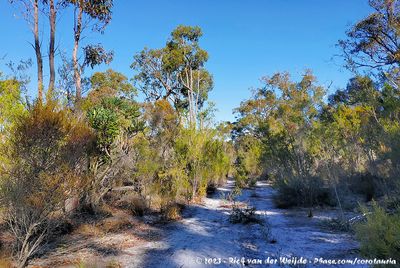 Australia (Southwest), July 12 - August 13, 2023
