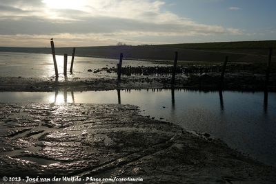 The Wadden Sea