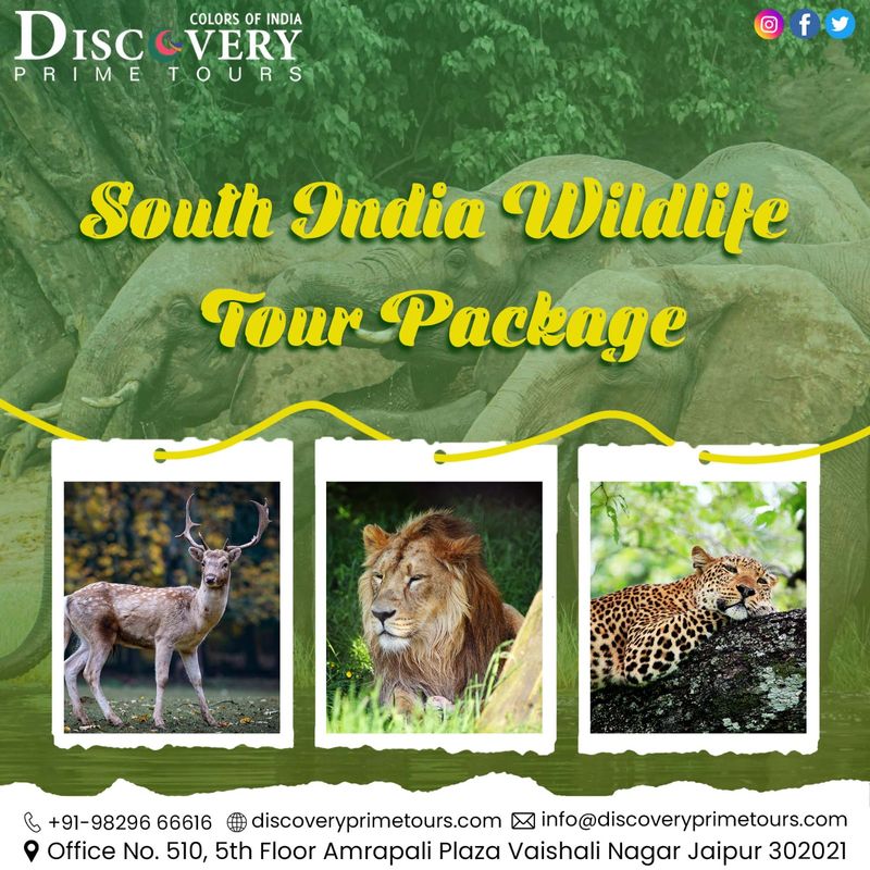 Discover India's Splendor: Unforgettable Journeys with Exclusive Tour Packages