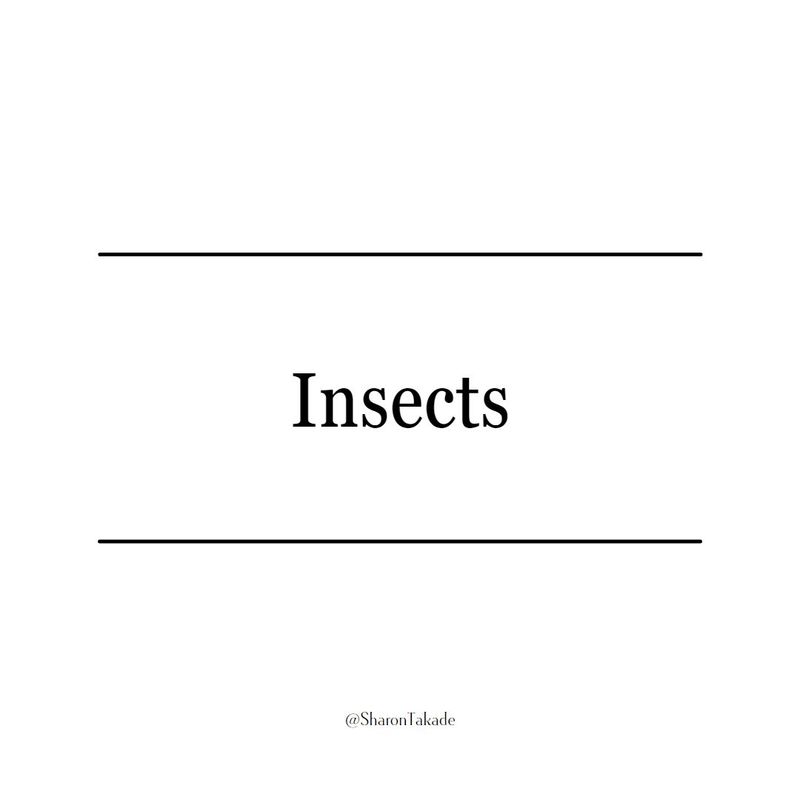 Insects