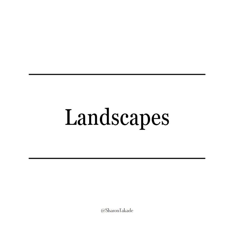 Landscapes.jpg