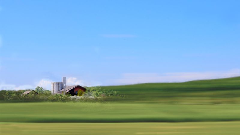 Roadside Farm