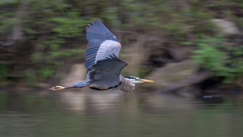 2025 July - Panning