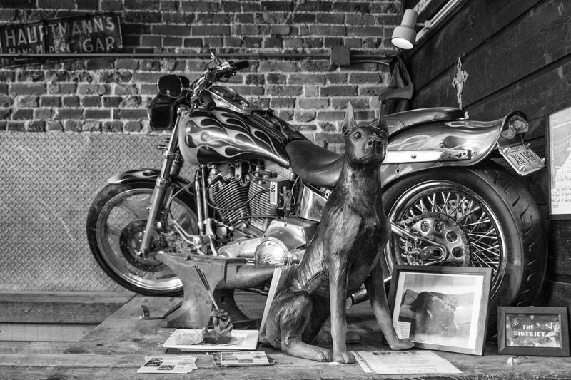 2025 August - Black & White