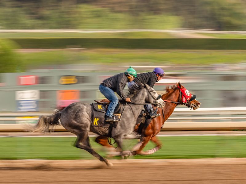 2025 July - Panning