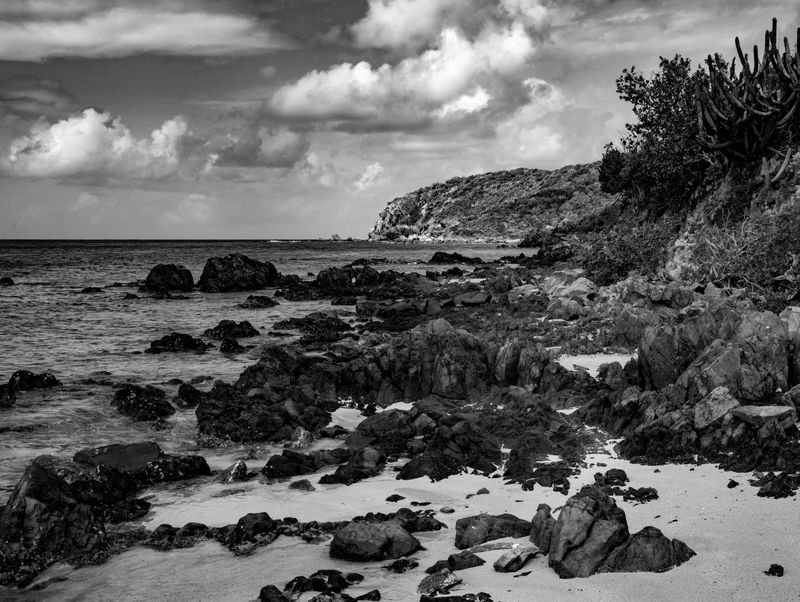2025 August - Black & White