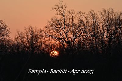 04 APRIL Backlit SAMPLE