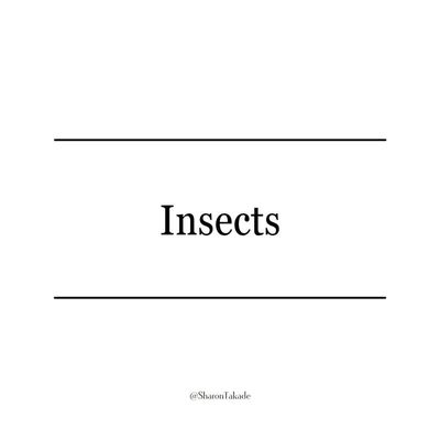 Insects.jpg
