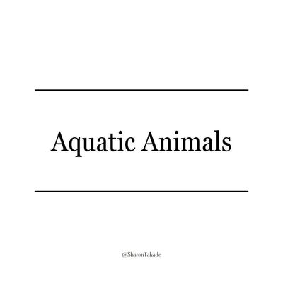 Aquatic Creatures