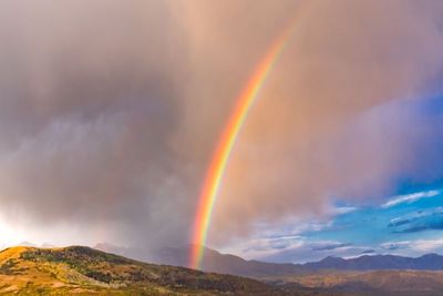 Ralph Laurens Pot of Gold