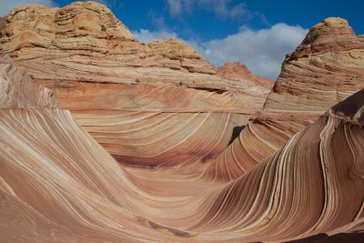 The Wave