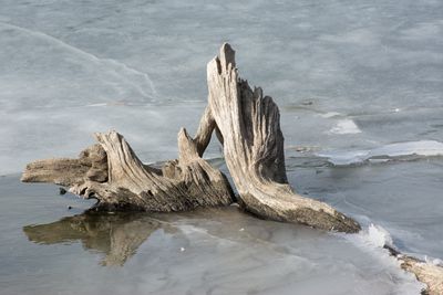 Frozen Reflection