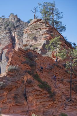 Angels Landing