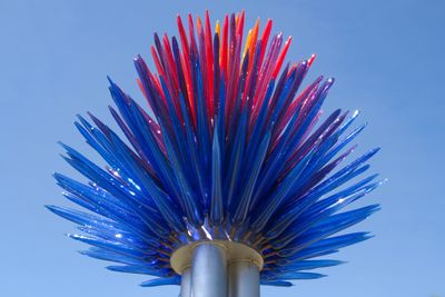 Prairie Brush