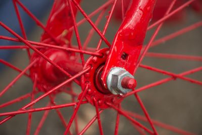 Red & Wet