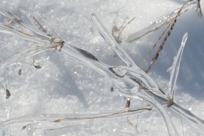 Cold As Ice