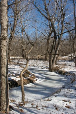 Mo Pac Singletrack