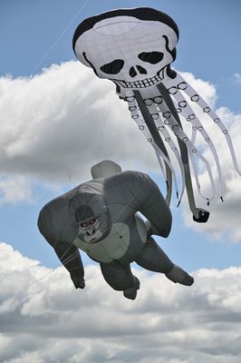 Flying High