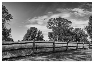 Solitude in Black & White