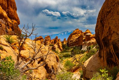 Utah - Arches.jpg