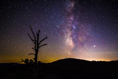 Shenandoah Park M.W.jpg