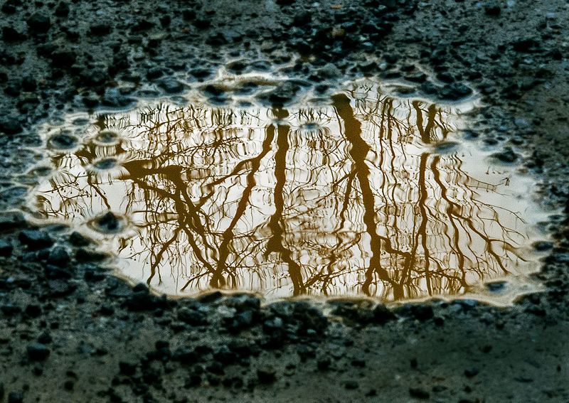 Roadwater-Reflections---17