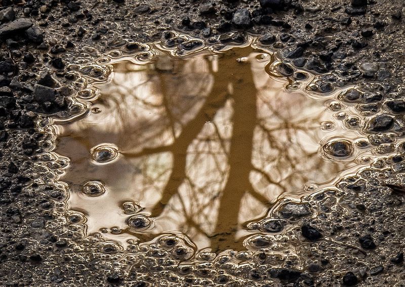 Road-Water-Reflections---15