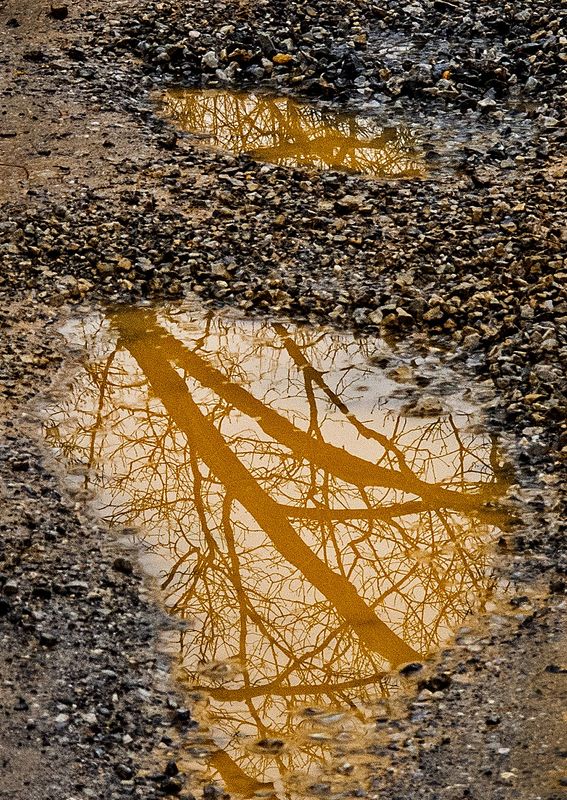 Road-Water-Reflections---11