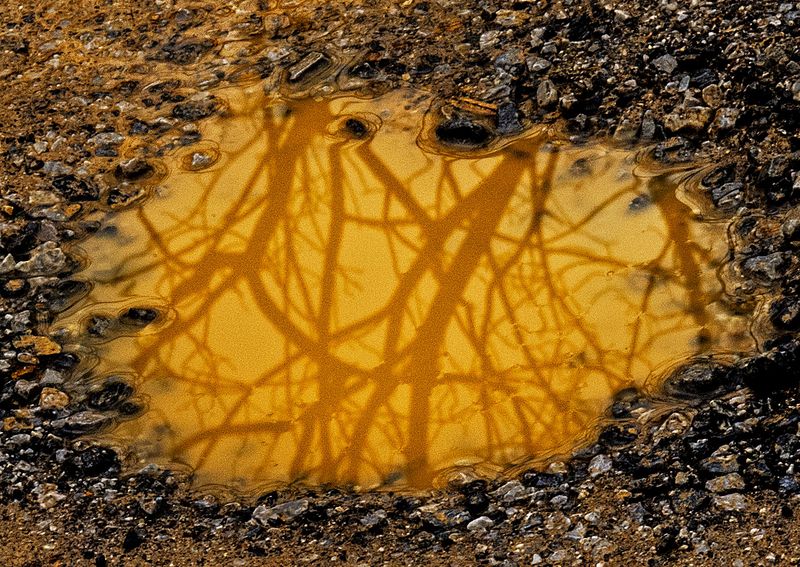 Road-Water-Reflections---12