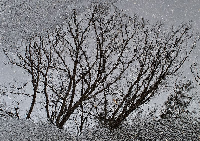 Road-Water-Reflections---3
