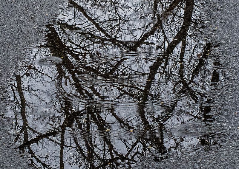 Road-Water-Reflections---5