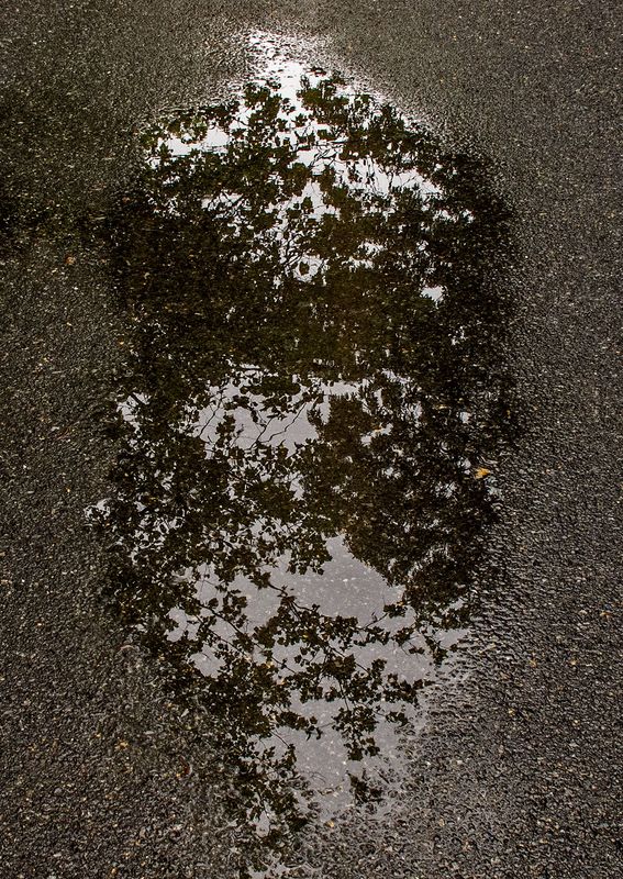 Road-Water-Reflections