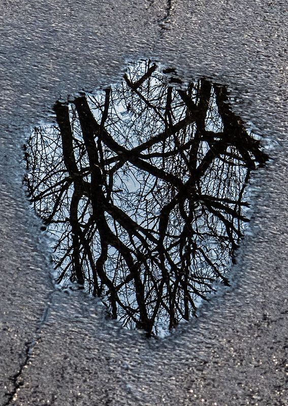 Road-Water-Reflections---8