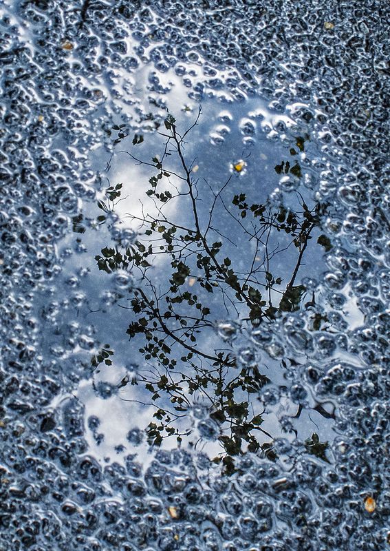 Roadwater-Reflections---21