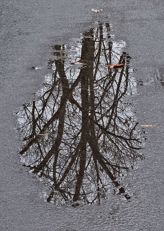 Road-Water-Reflections---2