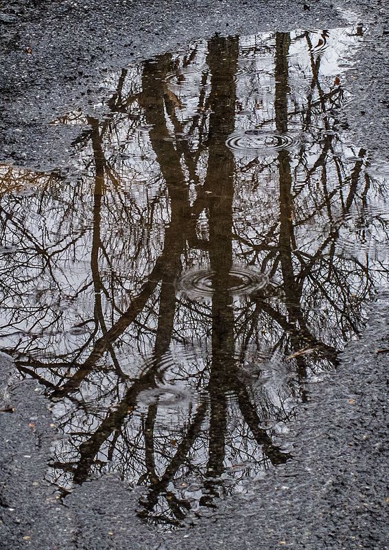 Road-Water-Refections---4