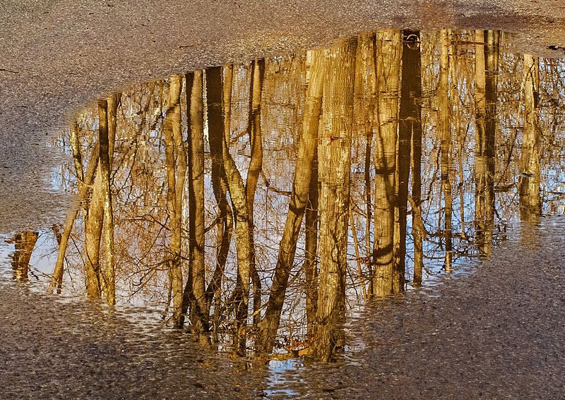 Road-Water-Reflections---14
