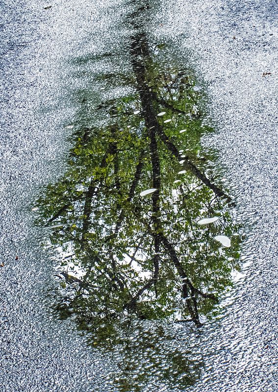 Roadwater-Reflections---19