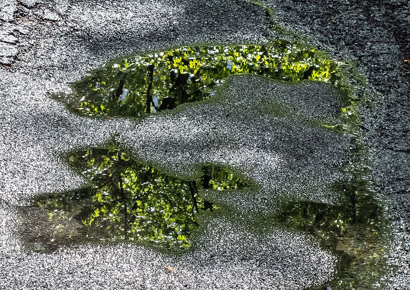Roadwater Reflections - 22