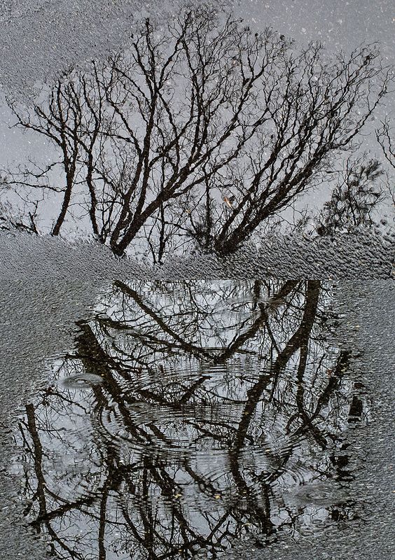 Roadwater-Reflections-x-2