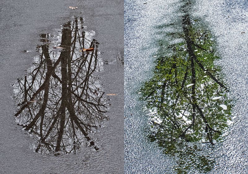 Roadwater-Reflections-x-2