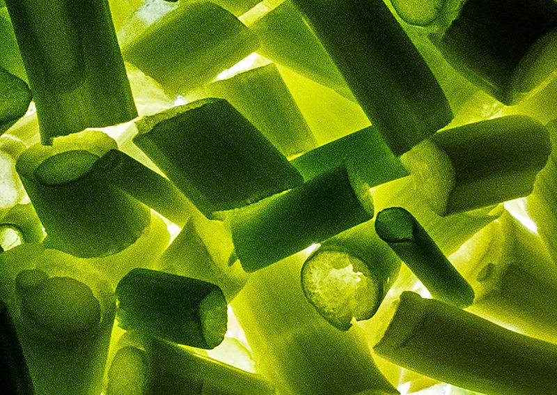 Chopped-Scallions - Backlit